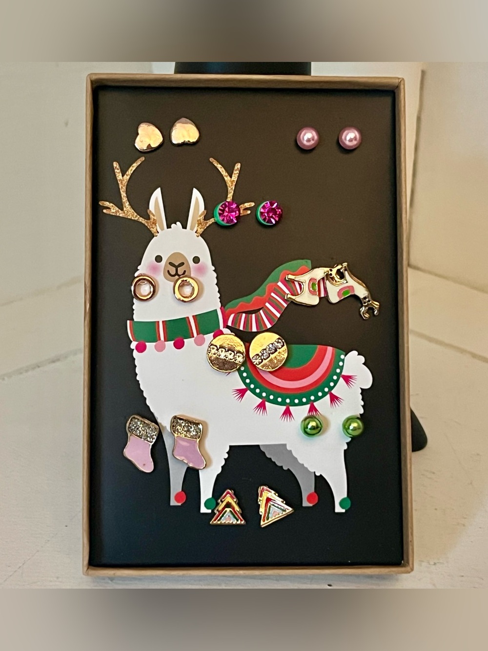 New - 9pc Earring Gift Set